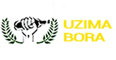 Uzima Bora Sarl